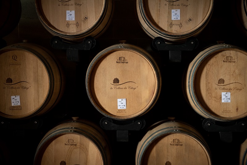 La Collina dei Ciliegi: 53 ettari di enoturismo per tutti i  gusti. Vacanza-experience per estate 2020 a Ca’ del Moro Wine Retreat