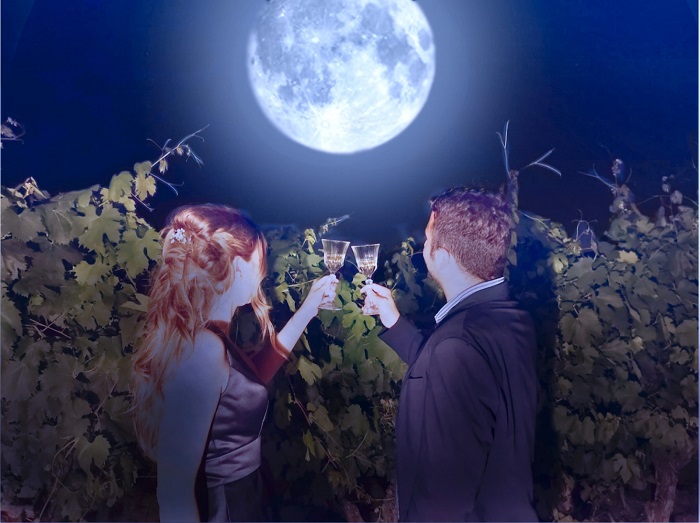 Calici Di Stelle In Toscana 1