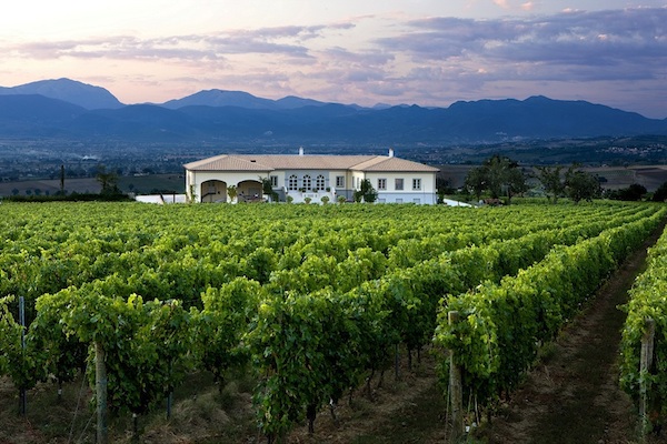 Lungarotti: doppio appuntamento a settembre per Enologica Montefalco e Cantine Aperte in Vendemmia