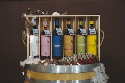 Cantina Orsogna