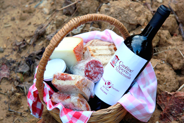 Cantine Aperte In Vendemmia 3