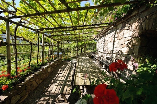 Il vino ai Giardini di Castel Trauttmansdorff