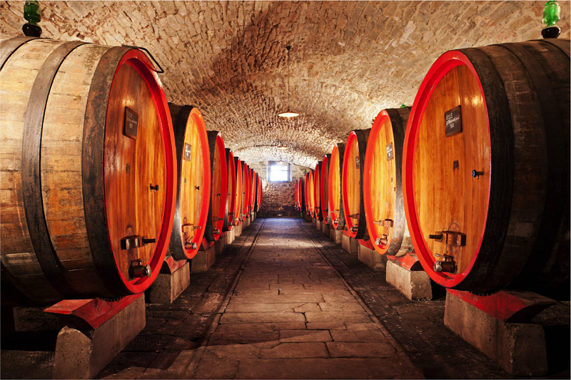 Castello Di Albola 4