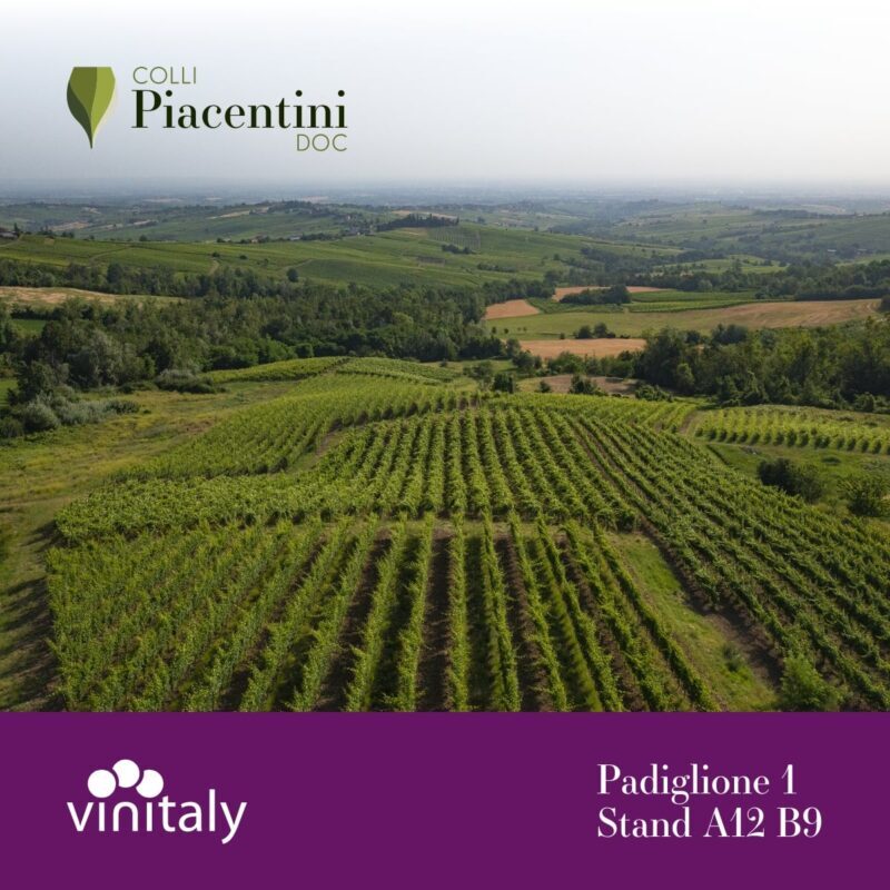 Colli Piacentini Doc E1649761659505