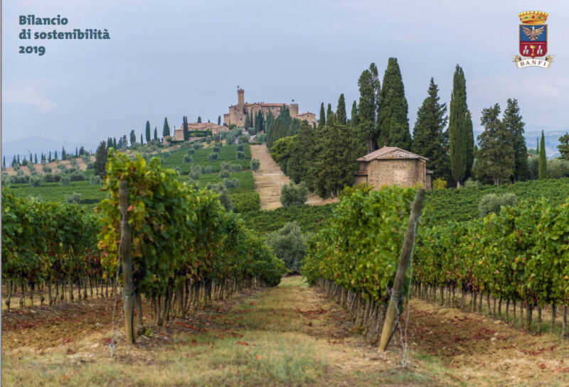 Banfi, bilancio di sostenibilità 2019