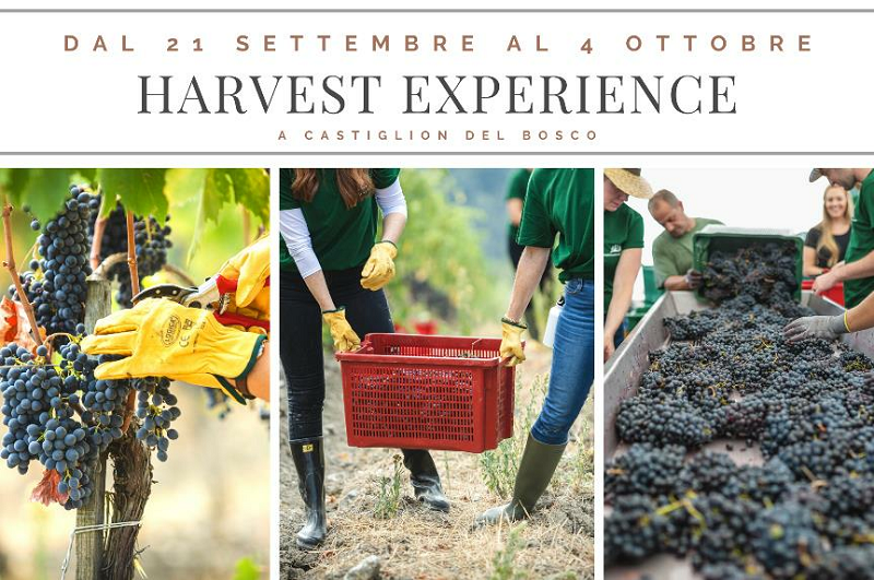 Cs Harvest Event Harvest Experience 30 Luglio 2020