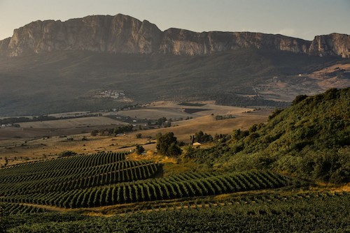 Da Palermo al mondo, i Vini di Cusumano incantano Sicilia en Primeur