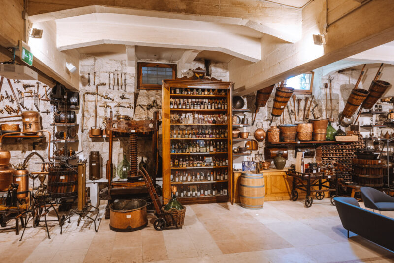 Eurochocolate Winter ed enogastronomia: esperienze di gusto in Dolomiti Paganella, tra grandi nomi della pasticceria e appuntamenti speciali in cantina