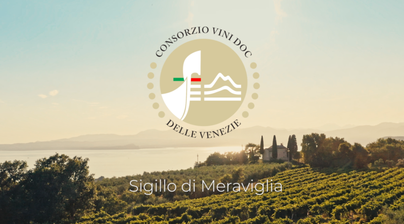 Doc Delle Venezie Meraviglia Preview Video Istituzionale E1648046269790