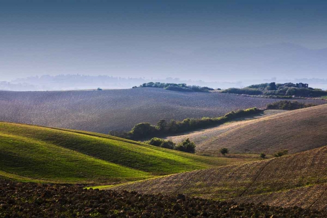Terre di Pisa Food&Wine Festival nel segno della salute e della sicurezza alimentare