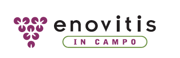 Enovitis In Campo 1