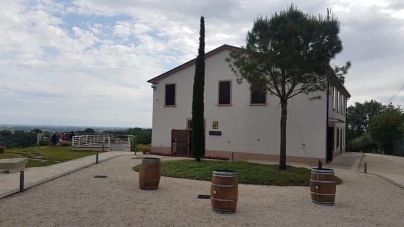 Esterno Collezione Scaled E1621851905209
