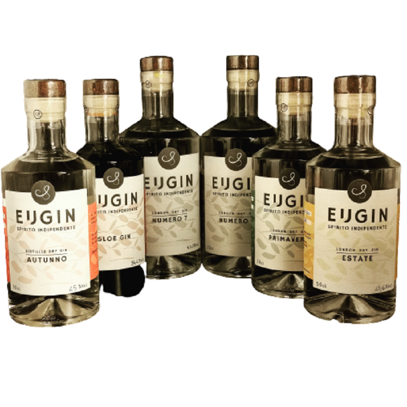 Eugin Gruppo