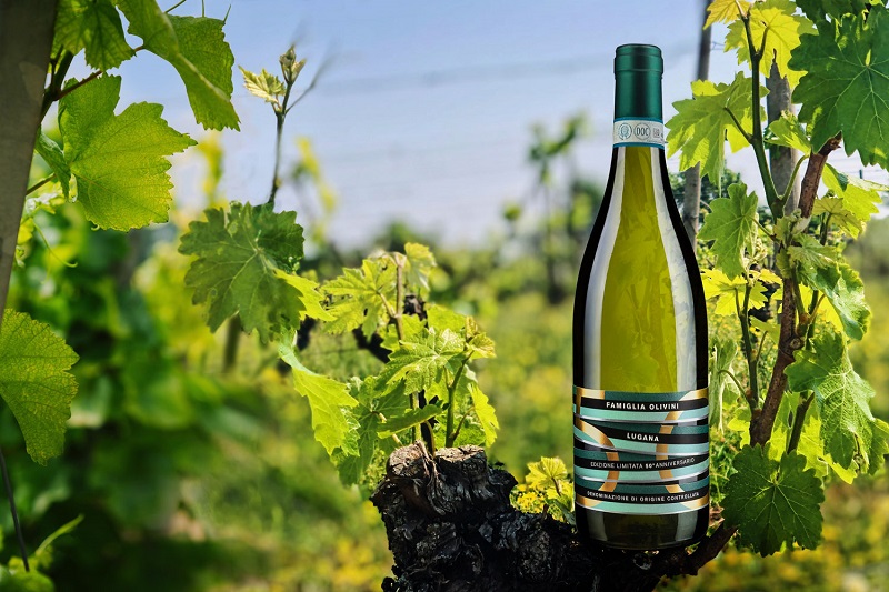 Famigliaolivini Lugana50esimo Invigna 1500px