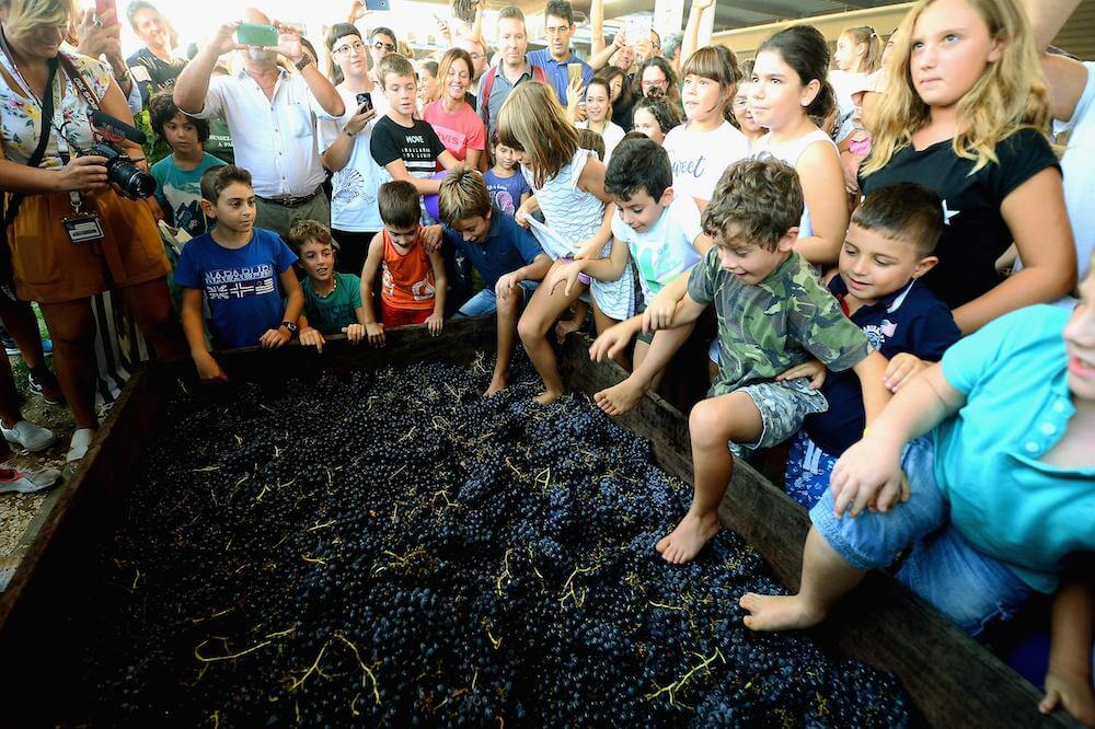 Festa Della Vendemmia