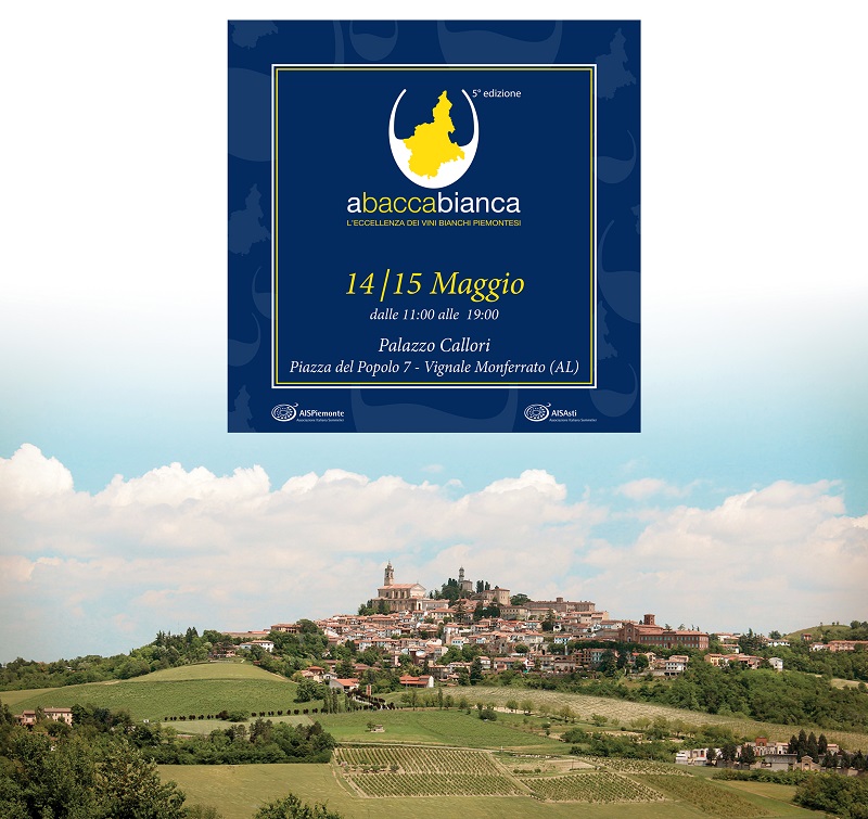Foto Panorama Vignale E Info