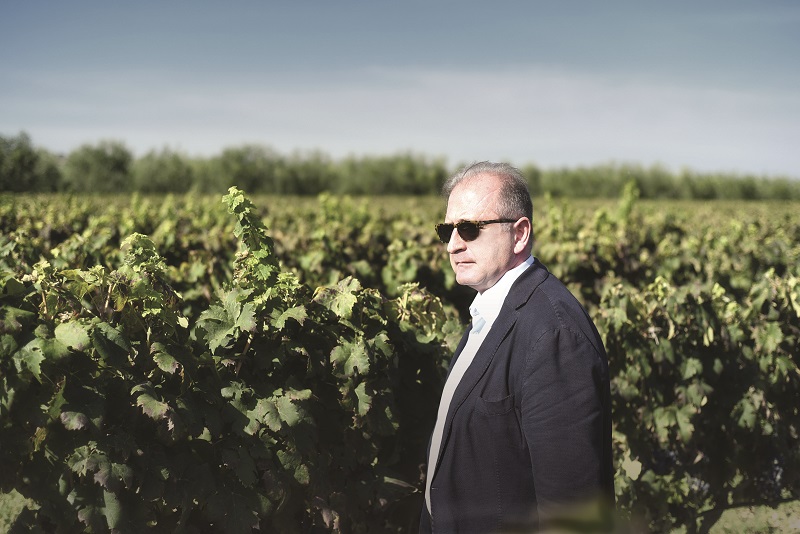 La vendemmia della Doc Castel del Monte - Impressioni di fine settembre