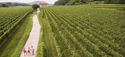 Franciacorta Summer Festival - Per tutto giugno la Franciacorta sarà in festa