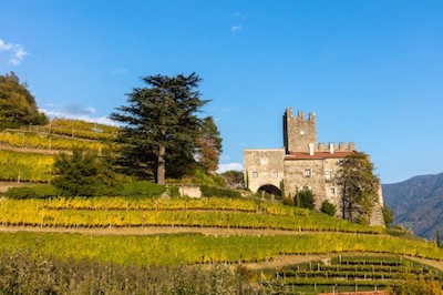 Giornate Del Riesling