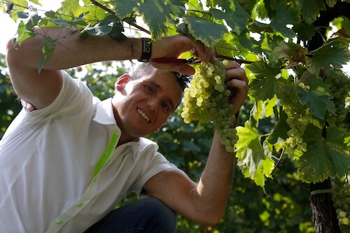 igor-cassina-ex-ginnasta-oro-alle-olimpiadi-di-atene-2004-alla-vendemmia-solidale-2016