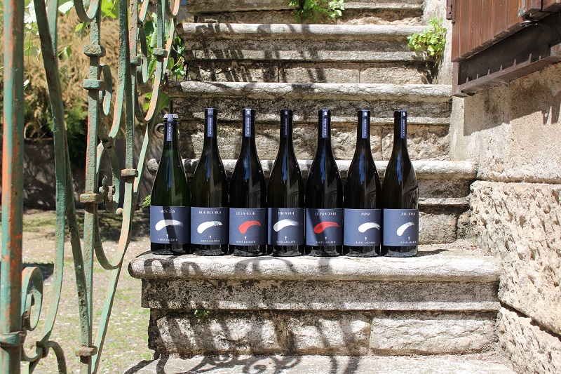 La Tenuta Alois Lageder presenta le nuove Comete