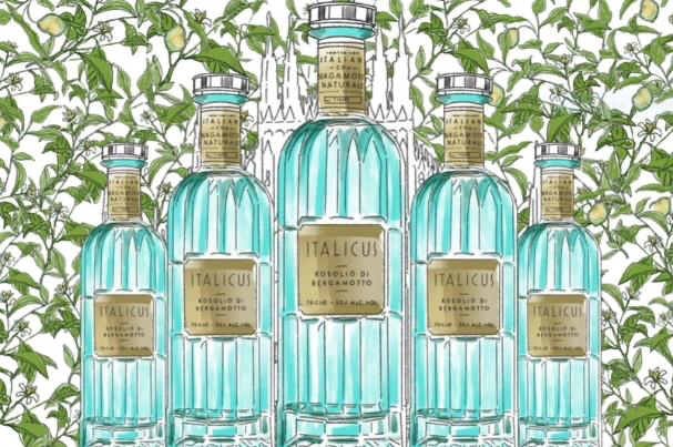 Da Italicus Rosolio di Bergamotto - Art of Italicus 2021, Creative Talent, i vincitori del contest