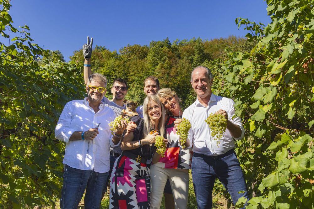 Vendemmia Solidale, in 500 ieri a Le Manzane (TV) per aiutare gli amici a 4 zampe