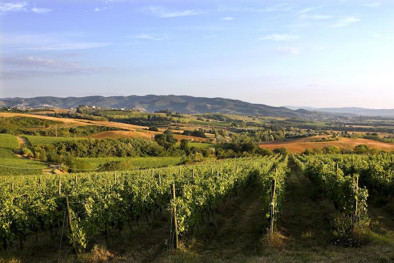 Lungarotti Torgiano Vigneti