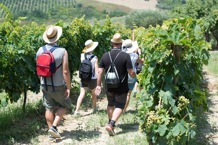 Nuove emozioni e abbinamenti gourmet per la Mangialonga Picena 2019