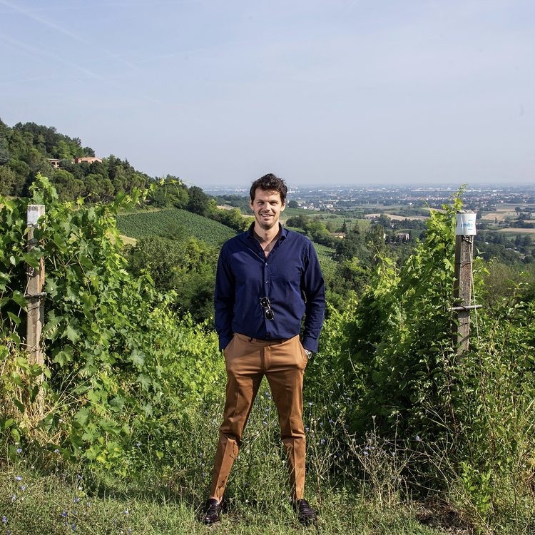 Maximilian Girardi In Vigna