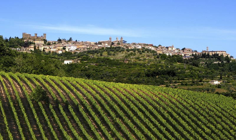 Montalcino Borgo E Vigneti 1