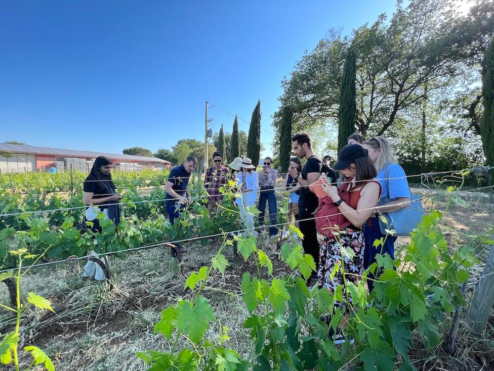 Il Consorzio Tutela Vini Montecucco annuncia una partnership con IED Firenze per il rinnovo del proprio logo