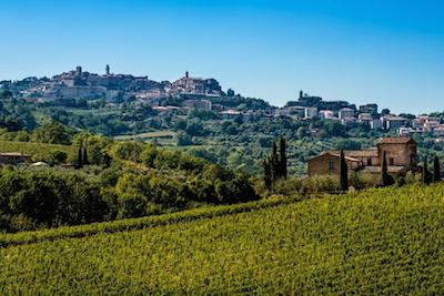 Montepulciano Vista Vigneti 1