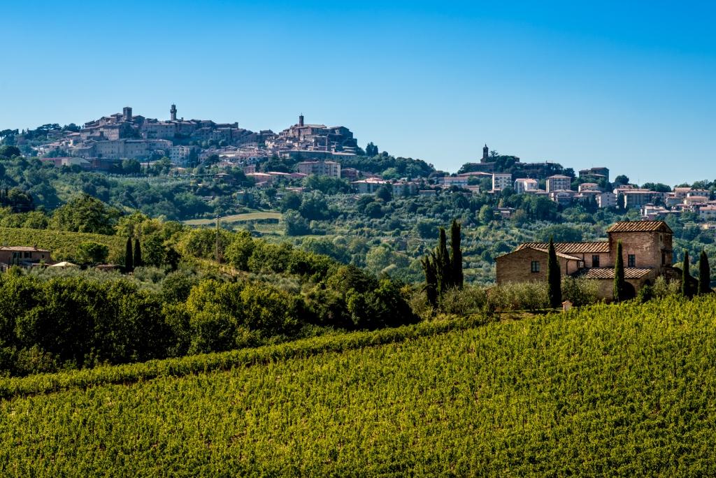 Montepulciano Vista Vigneti