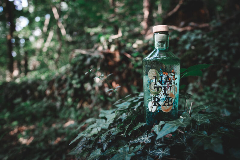 Naturæ Gin vince ai World Gin Awards