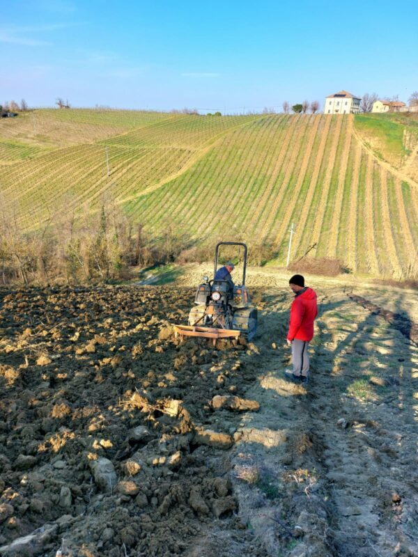 Nuove Vigne Mazzolino 1 E1646748237990