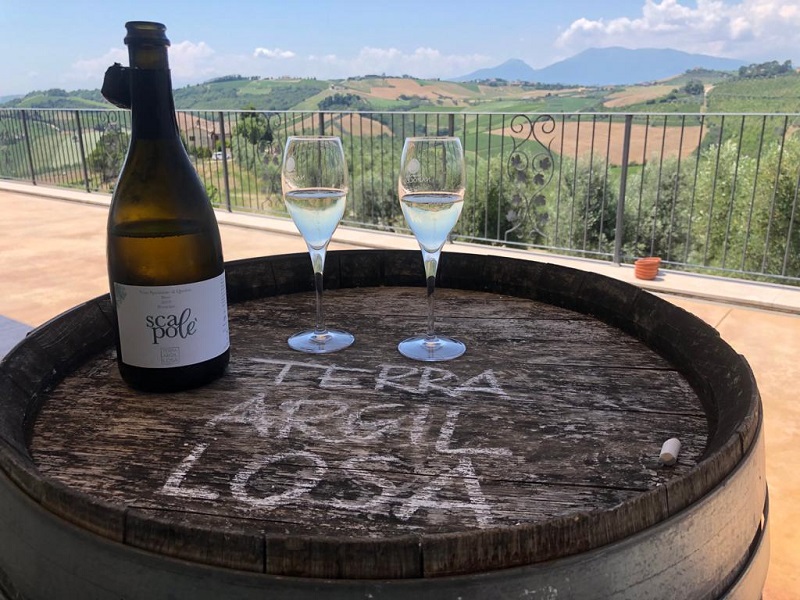 Nuovo Spumante Di Pecorino Scapole