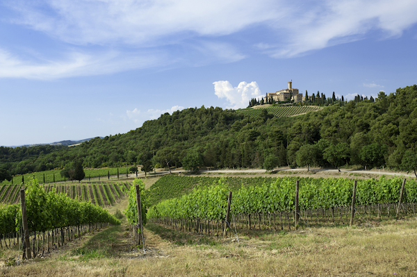 Panorama Castello Banfi Ph Credits I Franchini
