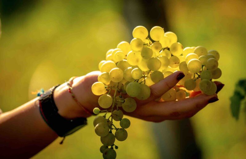 Perlage Winery a Vinitaly con uno stand ispirato all'economia circolare