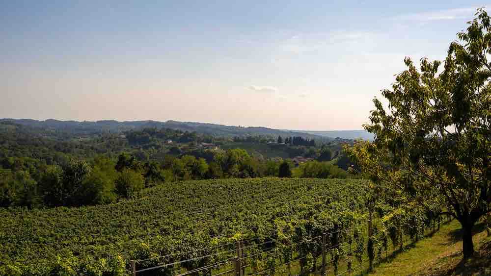 Perlage Winery