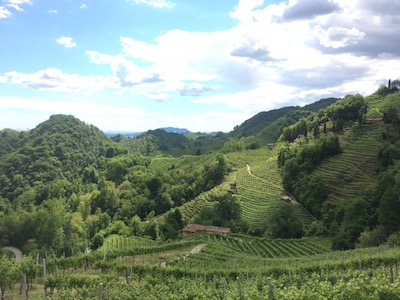 Perlage Vigneto