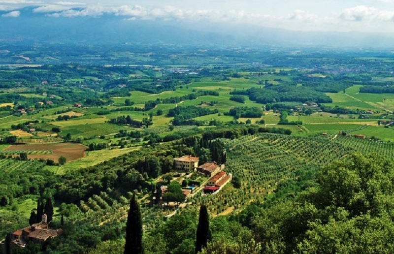 Petrolo