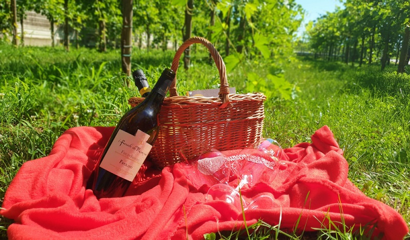Picnic In Vigna 1