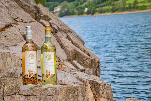 pinot-grigio-bottiglia-istituzionale