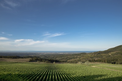 Primapietra Riparbella Jpeg 1