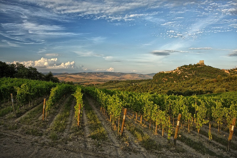 Rocca Dorcia Vigne Lt