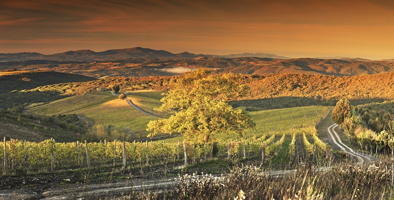Grande concerto d'estate a Rosewood Castiglion del Bosco