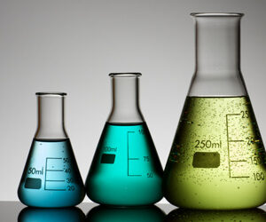 Saggio Di Ecotossicita Ecochem Indexwine Ee49c138