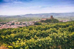 soave-multiverso