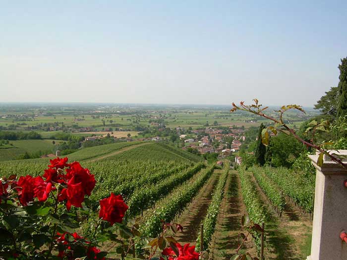 27 settembre 2021 Tenuta Mazzolino tra i protagonisti di "Oltrepò Terra di Pinot Nero" un territorio, un vitigno due eccellenze